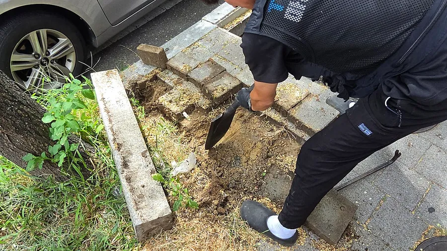 비래동 하수구막힘 — 비래동현대아파트는 정화조와 변기가 함께 문제였어요